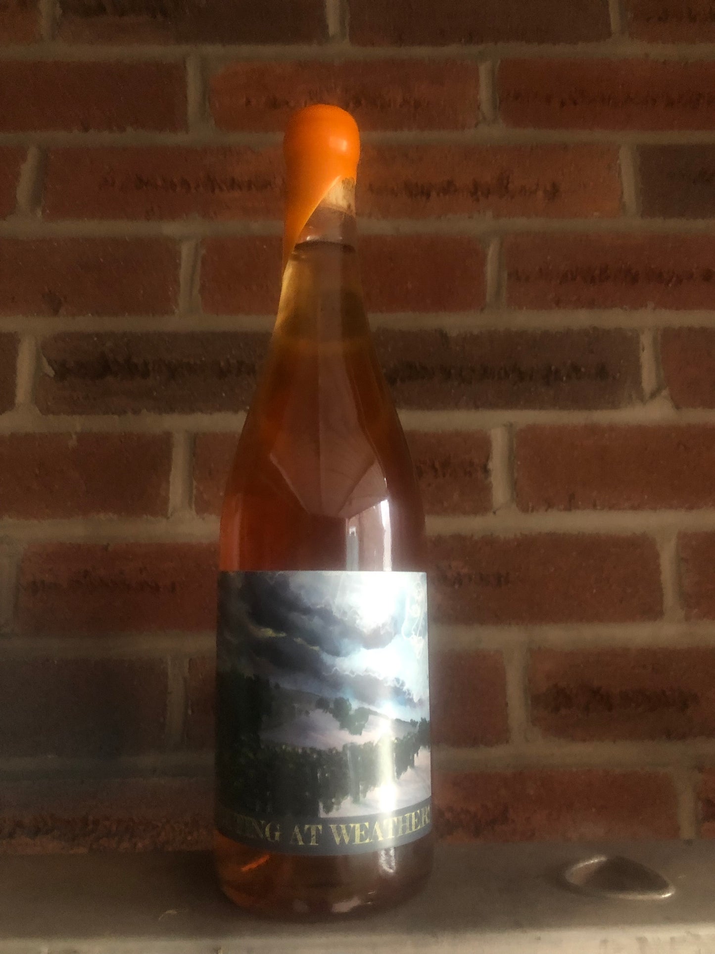 Shouting at Weather Orange '24