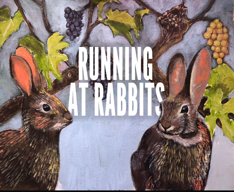 Running at Rabbits Pet Nat 2025